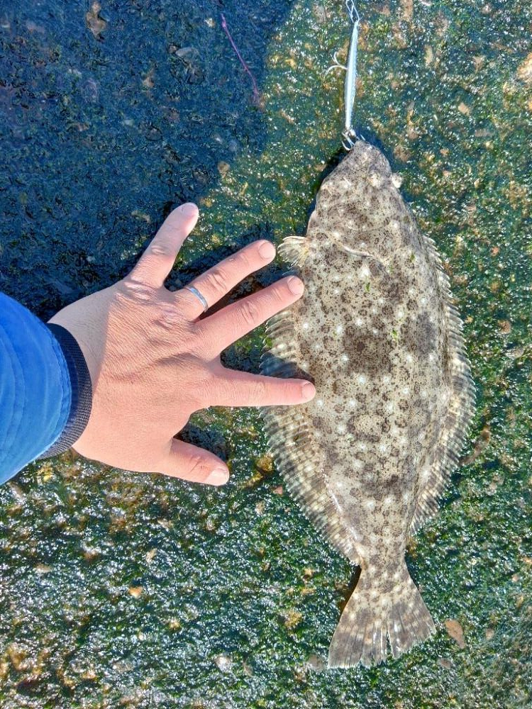 ２ヶ月ボウズでした(*_*)