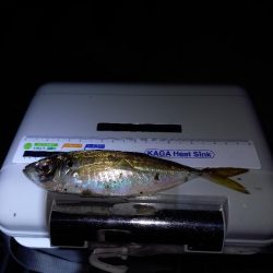 まんえん防止解除