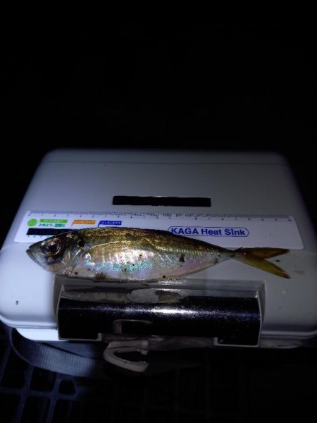 まんえん防止解除