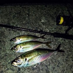 フロートゲーム～