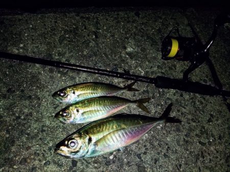 フロートゲーム～