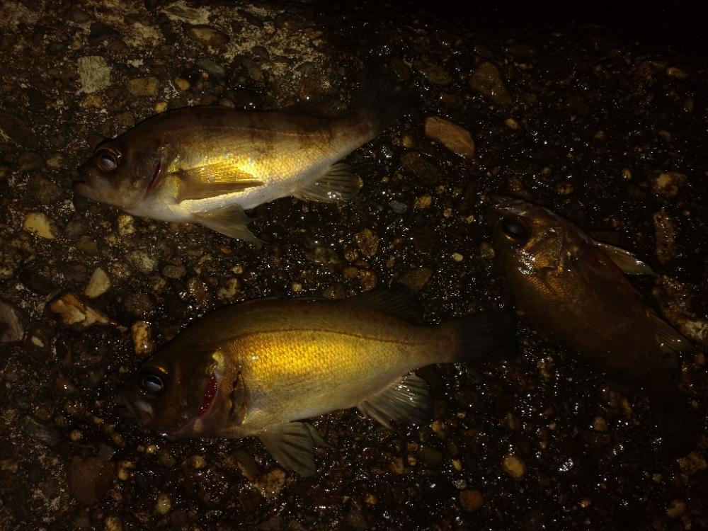 バイトが小さい