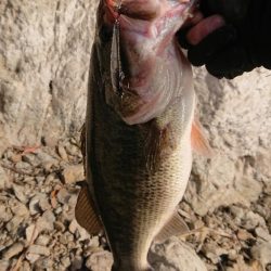 ようやく初バス