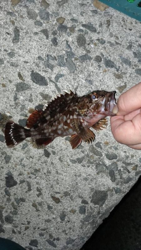 まだまだ厳しい