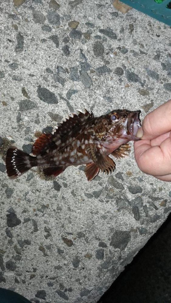 まだまだ厳しい