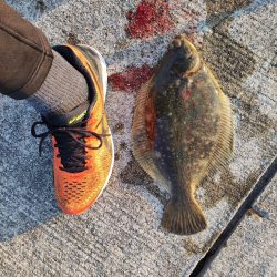 やっと釣れました