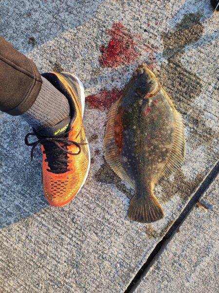 やっと釣れました