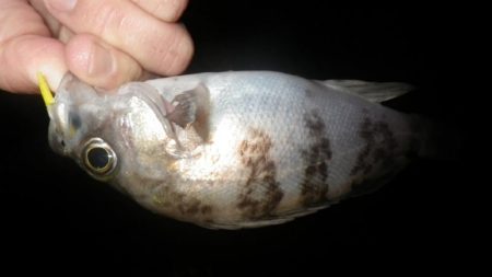 雨の止み間にアタック