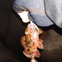 ランガンしても