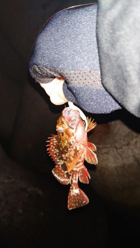 ランガンしても