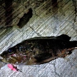 神戸空港ライトゲーム