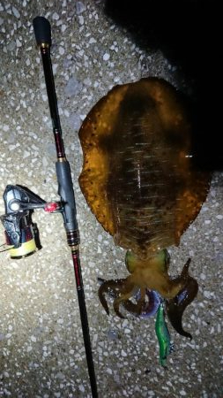 対馬エギング釣果……27