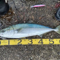 ショアキャスティング