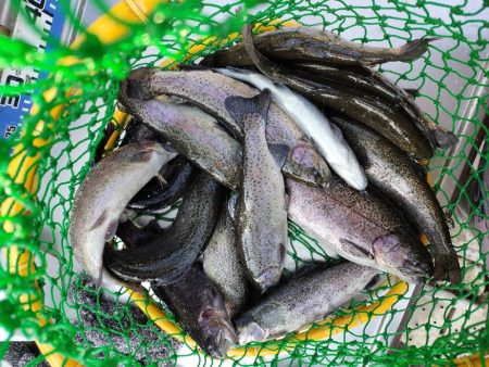 久しぶりの投稿