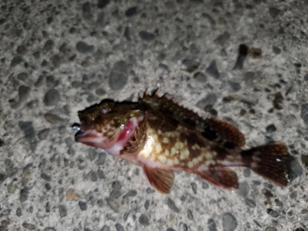 雨の合間をぬって