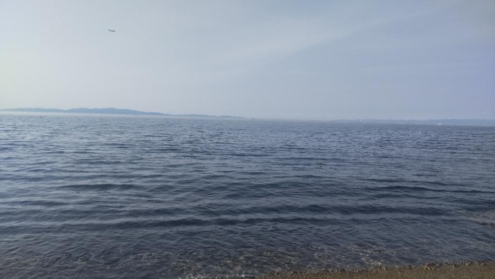 ちょっと魚を探しに！