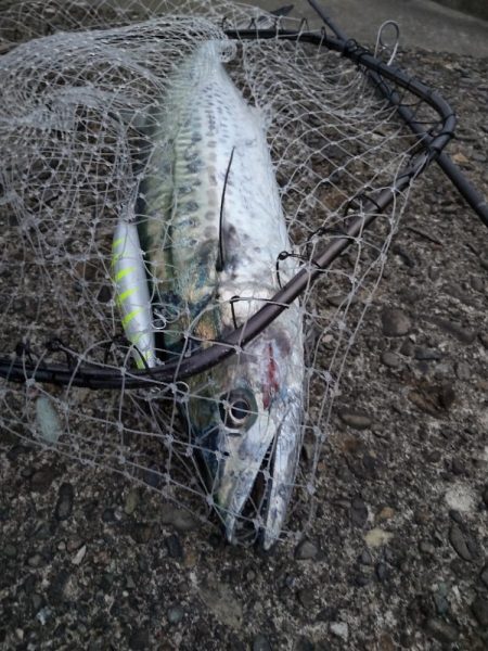 ショアプラッキング