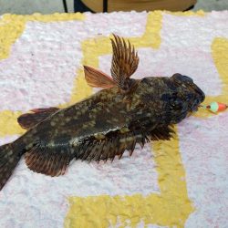 まだまだ渋い季節