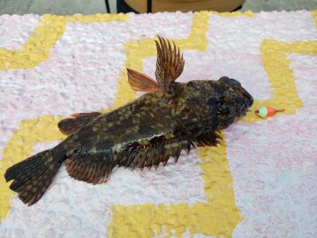 まだまだ渋い季節