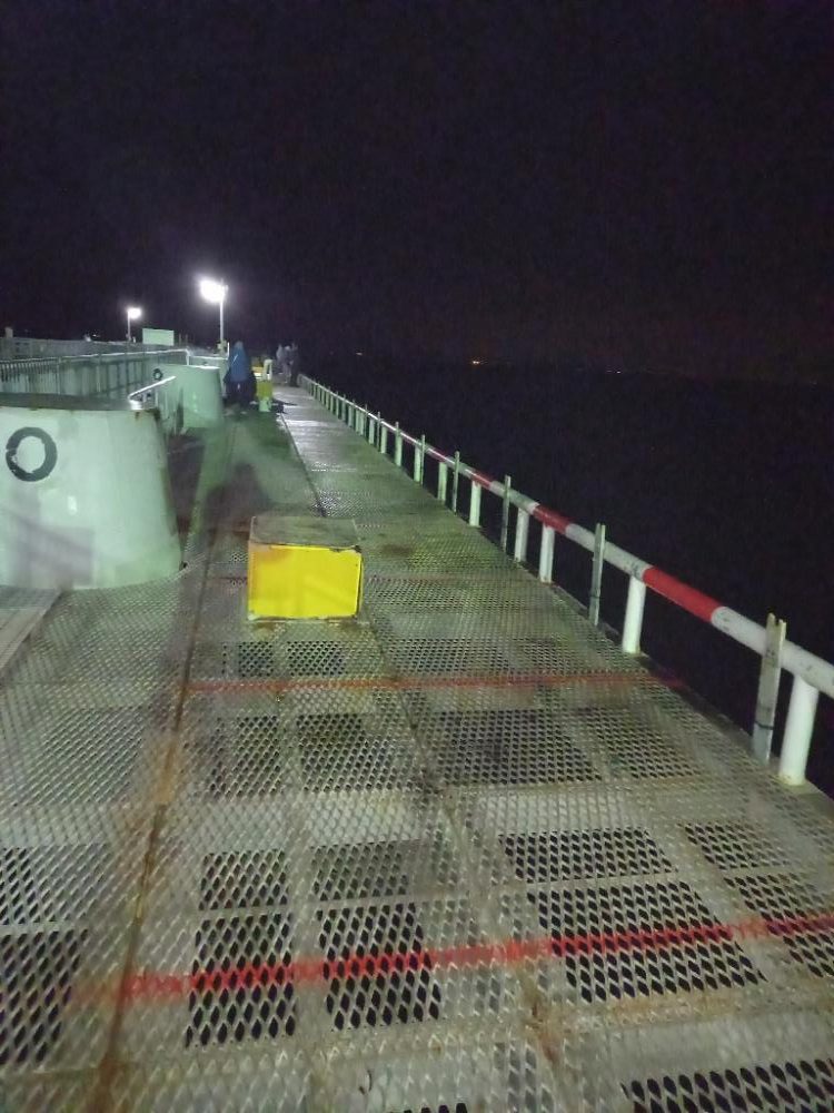 とっとパークでデカメバル