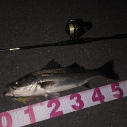 ががっときました。