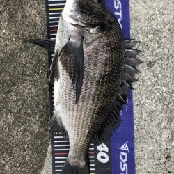 題名連日年無し❗️(イチノ兄弟)