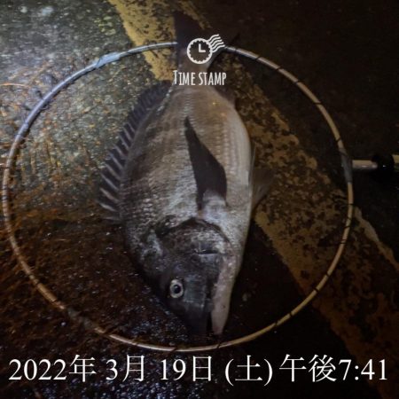 南港ヘチ釣り