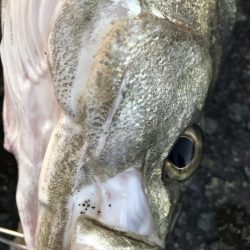 マイクロパターン