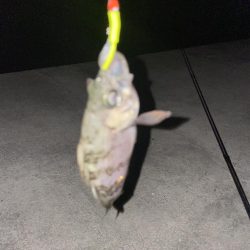 今日もメバリング