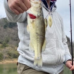 シーズン開幕！