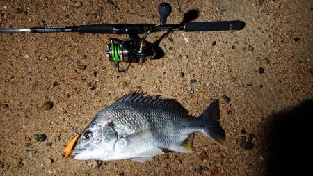 芦屋浜ナイトゲームでキビレ