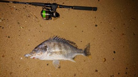 雨の前に芦屋浜でチヌ