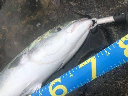 今日もトップで