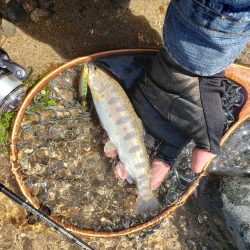 ダウンでしか食わせられなかった