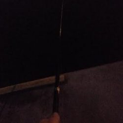 アジが苦しいこのごろですがダメ元でアジ釣りに☆彡