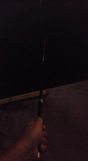 アジが苦しいこのごろですがダメ元でアジ釣りに☆彡