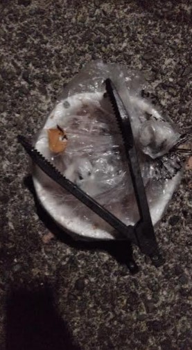 続くアジの不作。。。 ちゅらい(;´д` ) でもボウズって訳ではないのでアタック!!