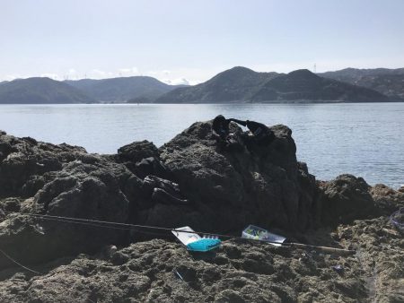 ハマチ50-53cm 3匹