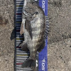 イチノ兄弟、釣果!