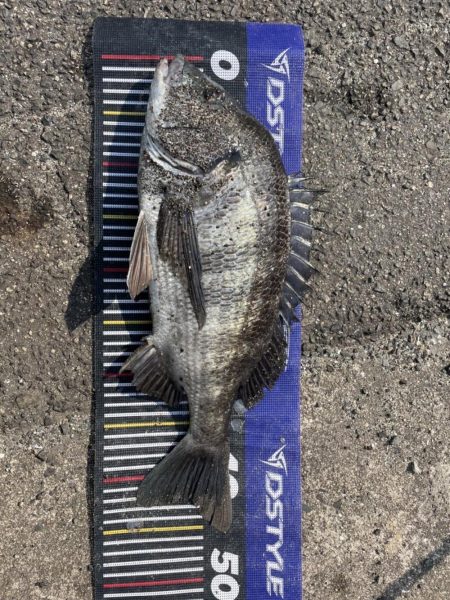 イチノ兄弟、釣果!