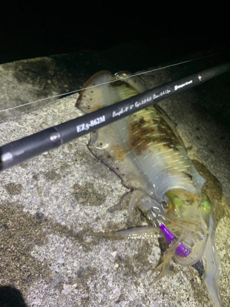 エギング釣行⑥
