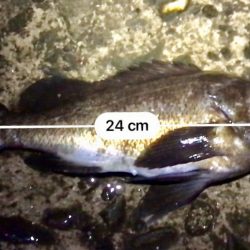 フロートメバリング