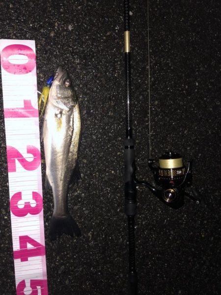 チーバスでした