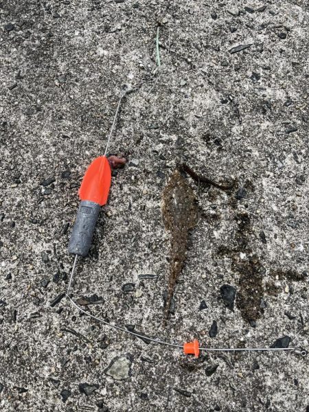 フグとテンコチの猛攻