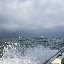 苦しい中での1匹！