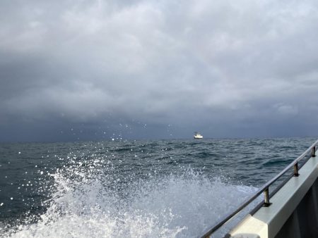 苦しい中での1匹！