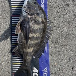 イチノ兄弟、釣果！