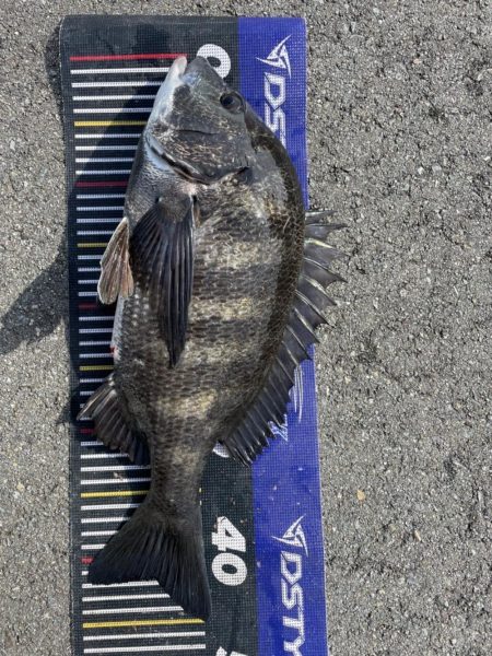 イチノ兄弟、釣果！