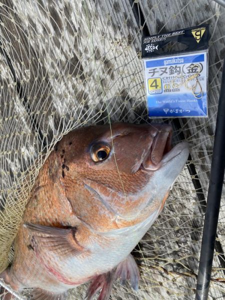 大鯛！サクラマス！