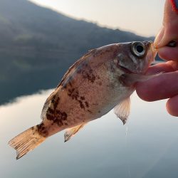 このエリアは私が投稿します☆